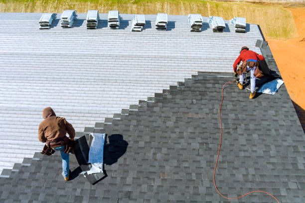 Best Roof Gutter Cleaning  in Osawatomie, KS
