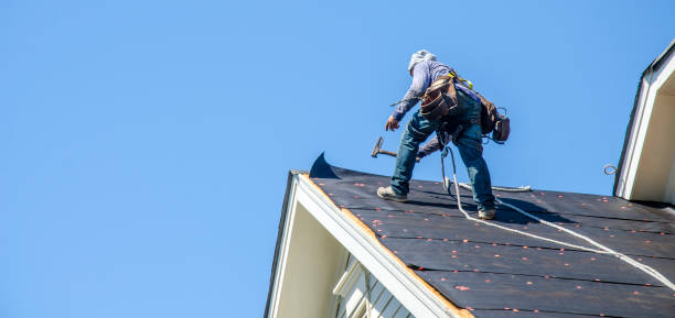 Best Roof Leak Repair  in Osawatomie, KS